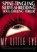 My Little Eye