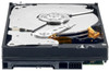 WD 1 TB Black Desktop Internal Hard Drive (WD1002FAEX) : Internal Hard Drive
