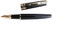 Crocodile 320 Fountain Pen