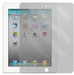 Rainbow Screen Guard for iPad 2