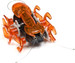 Hexbug Ant