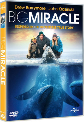 Big Miracle: Av Media Buy Big Miracle: Av Media