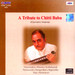 A Tribute To Chittibabu (Carnatic Veena)