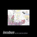 Incubus HQ Live Special Edition (2 Audio CD + DVD)