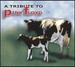 A Rock Tribute To Pink Floyd