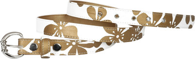 Buy Baggit Belt: Belt