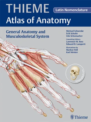 Head And Neuroanatomy Thieme