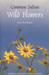 Common Indian Wild Flowers 01 Edition by Isaac David Kehimkar